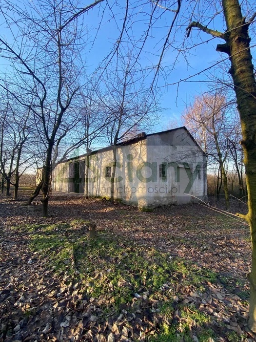 Działka gospodarstwo 8,44 ha, Lewiczyn - zdjęcie 3