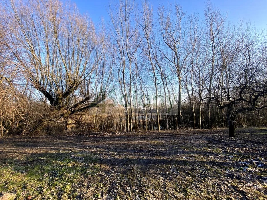 Działka gospodarstwo 8,44 ha, Lewiczyn - zdjęcie 7