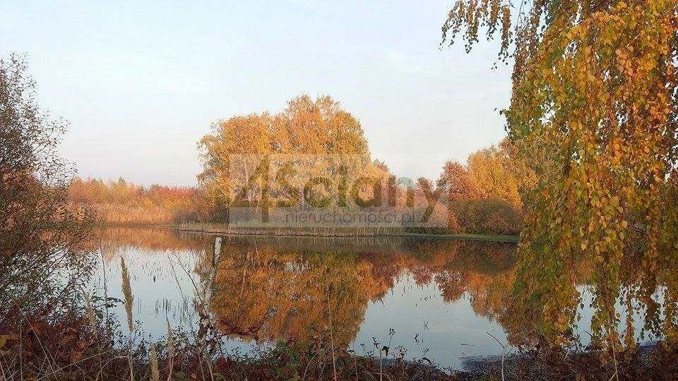 Działka gospodarstwo 8,44 ha, Lewiczyn - zdjęcie 8