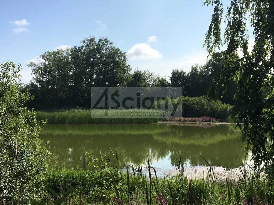 Działka gospodarstwo 8,44 ha, Lewiczyn - zdjęcie 2