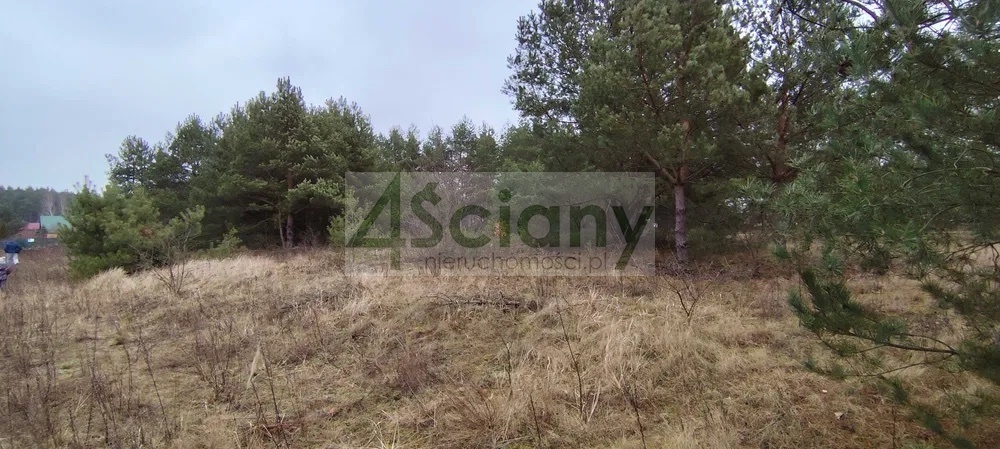 Działka budowlana 2010 m², Kamieńczyk - zdjęcie 2