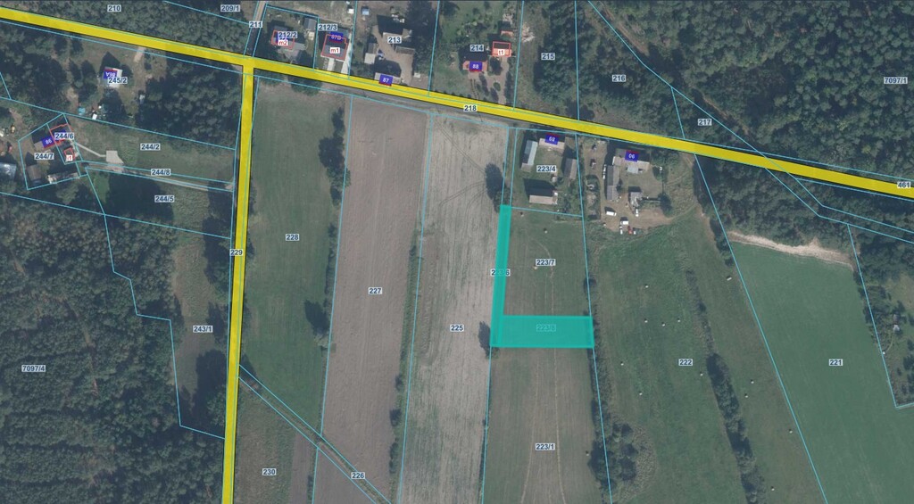 Działka rolna 1350 m², Rychlik - zdjęcie 1