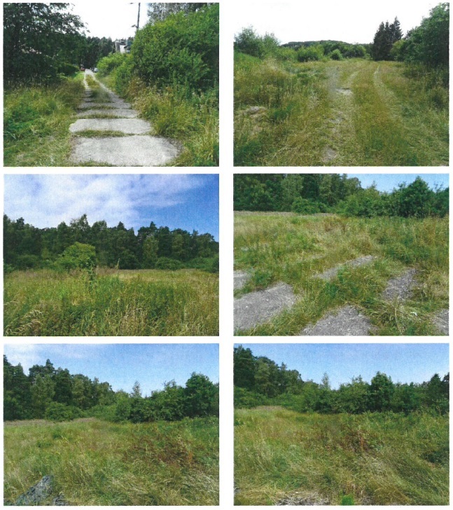 Działka budowlana 1891 m², Rusinowo - zdjęcie 5