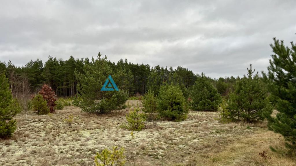 6237m- Pod zabudowę wielorodzinną -Czersk - zdjęcie 4