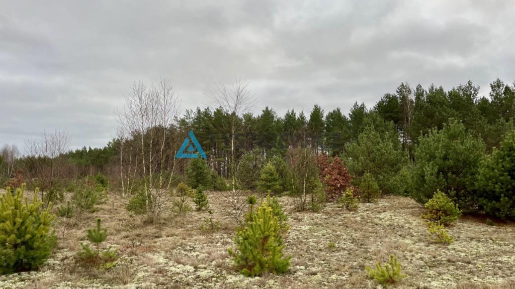 6237m- Pod zabudowę wielorodzinną -Czersk - zdjęcie 2