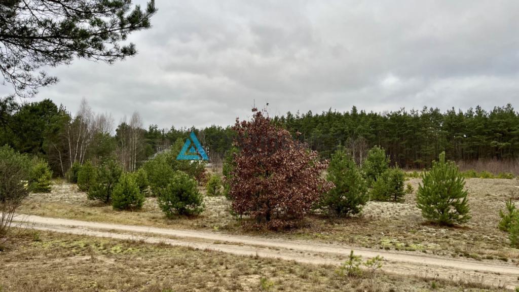 6237m- Pod zabudowę wielorodzinną -Czersk - zdjęcie 5