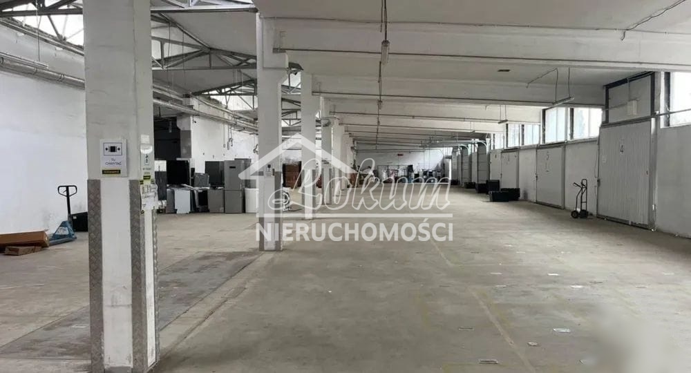 Magazyn do wynajęcia, 230 m², Szczecin - zdjęcie 1