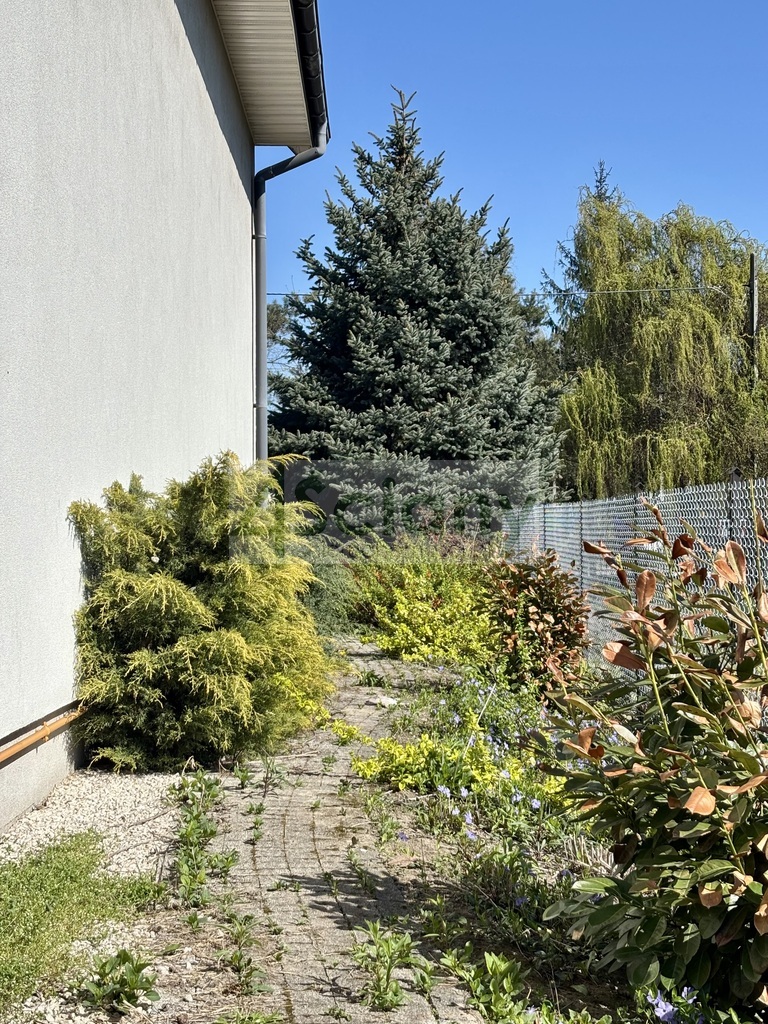 Dom 165 m², Pruszków - zdjęcie 18