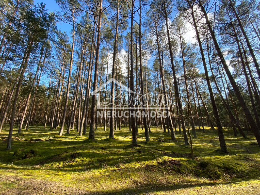 Mieszkanie 120&nbsp;m², Łukęcin, Spacerowa - zdjęcie 18