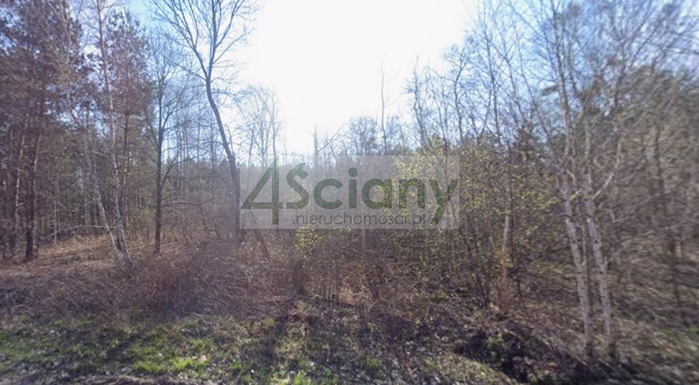 Działka budowlana 2776 m², Władków - zdjęcie 1