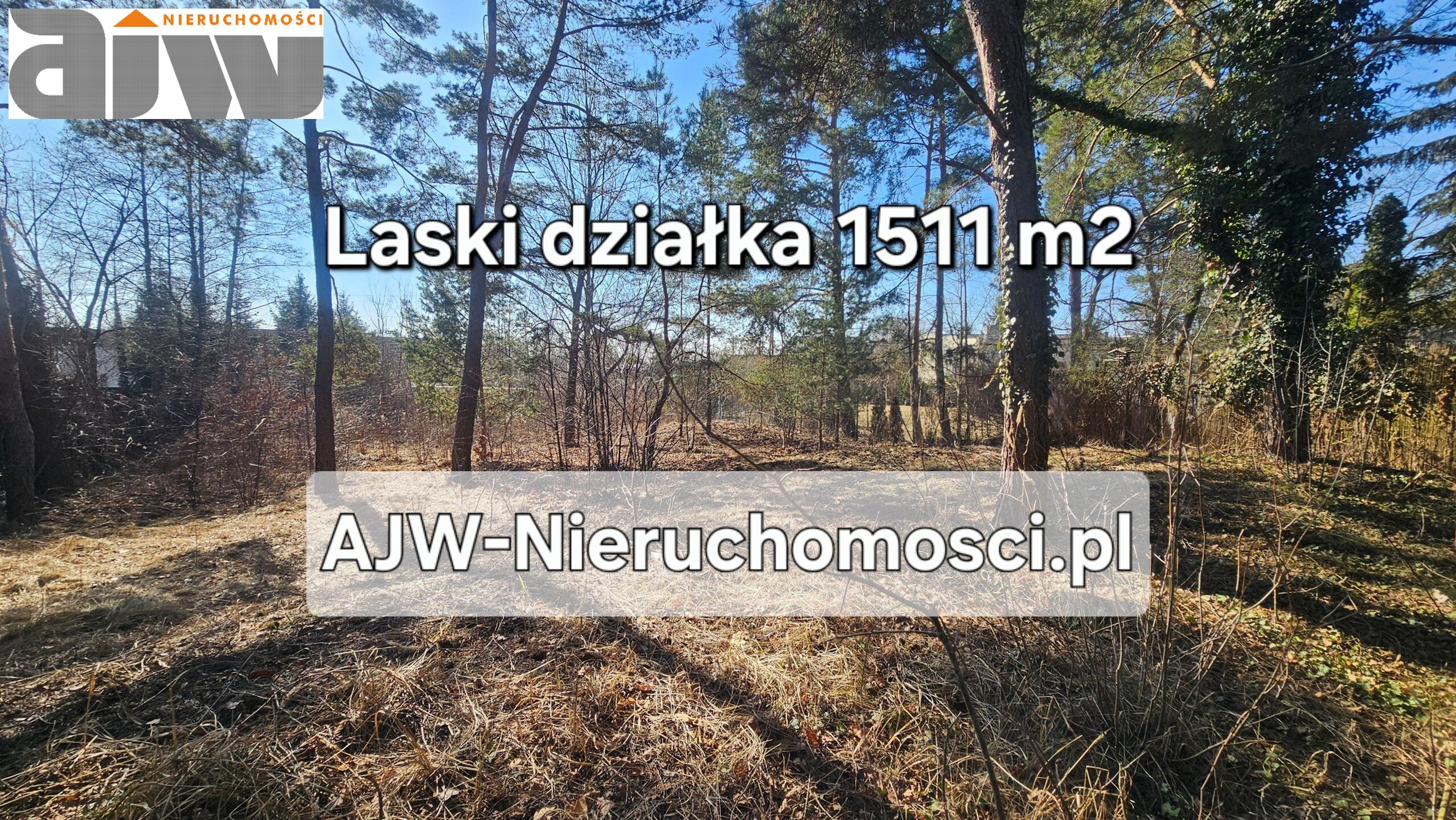 Laski działka 1510 m2 - zdjęcie 2