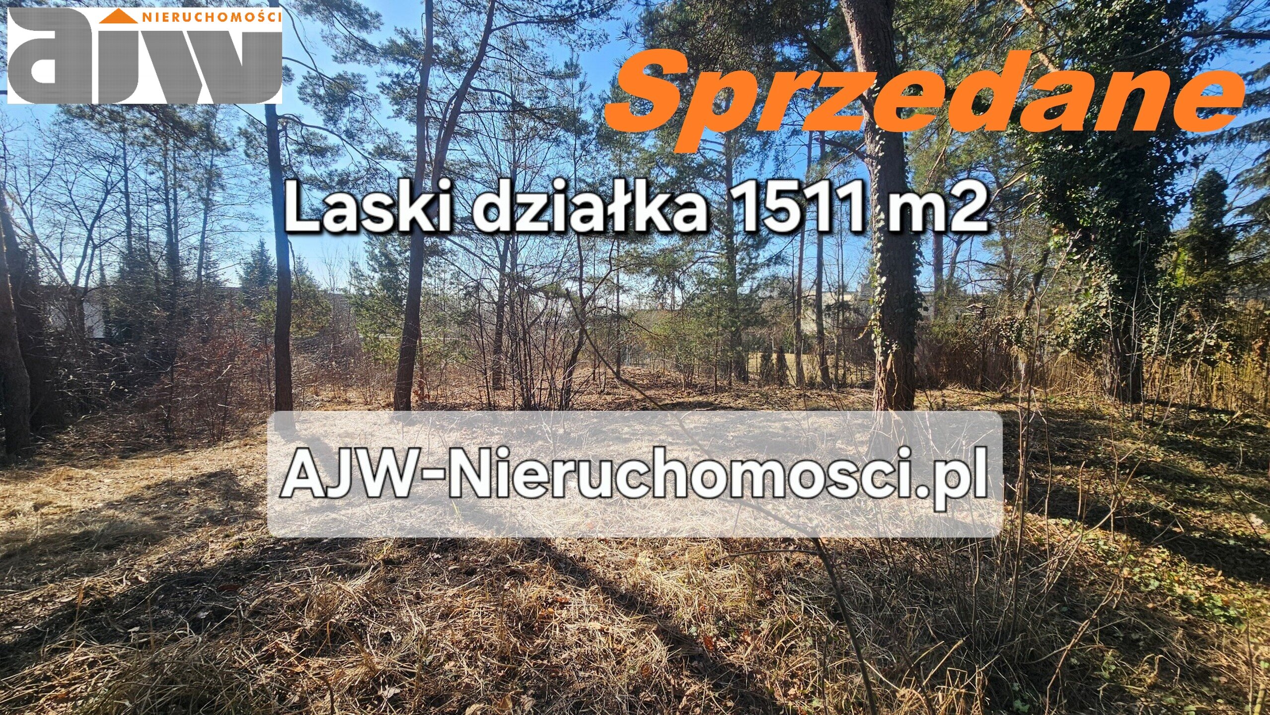 Laski działka 1510 m2 - zdjęcie 1