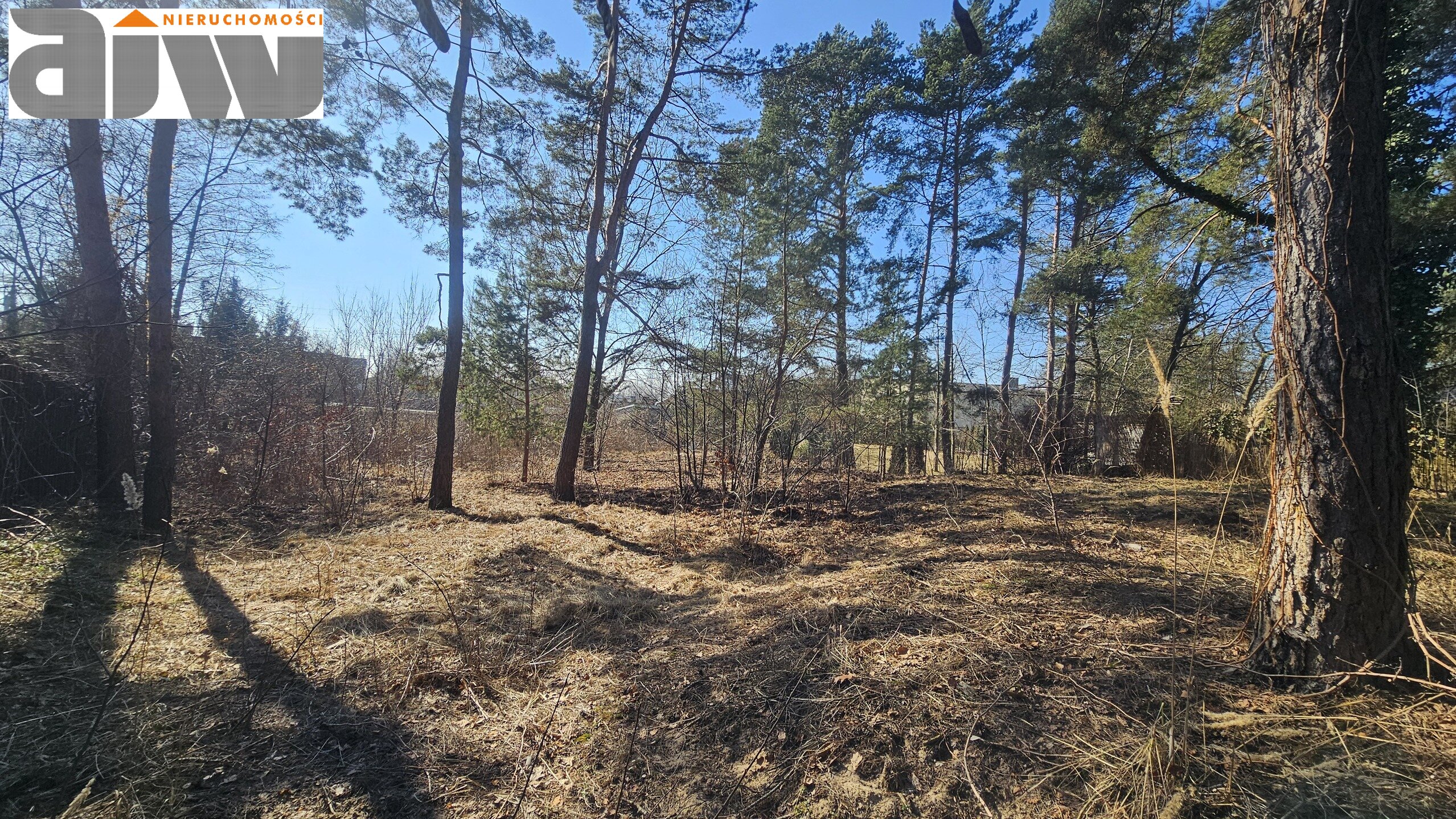 Laski działka 1510 m2 - zdjęcie 3