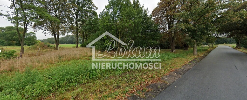 Działka budowlana 3000 m², Stare Chrapowo - zdjęcie 5