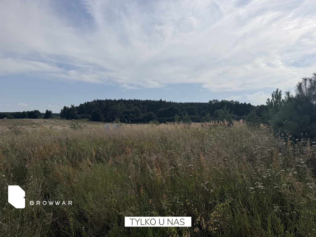 Działka budowlana 3407&nbsp;m², Chrzypsko Wielkie - zdjęcie 5