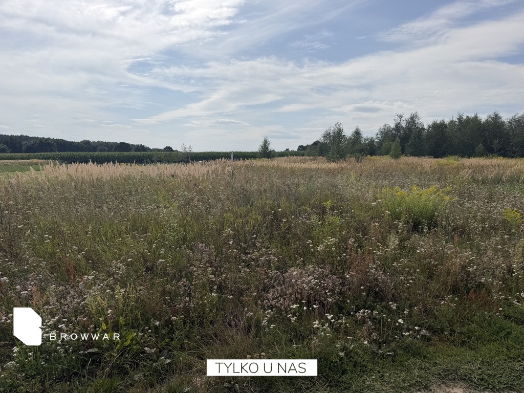 Działka budowlana 1703&nbsp;m², Chrzypsko Wielkie - zdjęcie 5