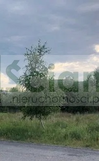Działka budowlana 1164 m², Stara Wieś - zdjęcie 2