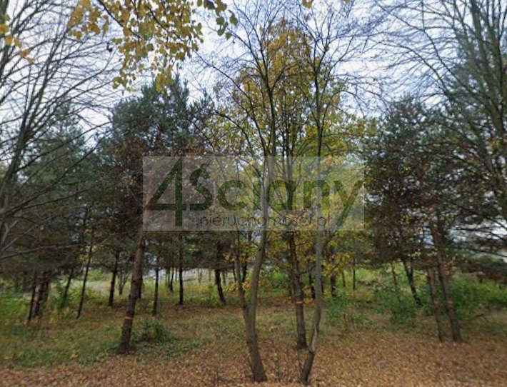 Działka budowlana 1500 m², Rozalin - zdjęcie 1