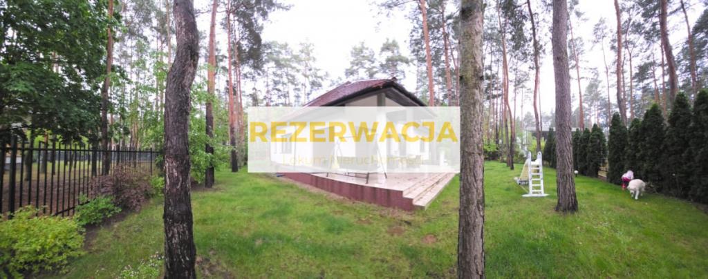 Hornówek - piękna leśna działka - zdjęcie 18