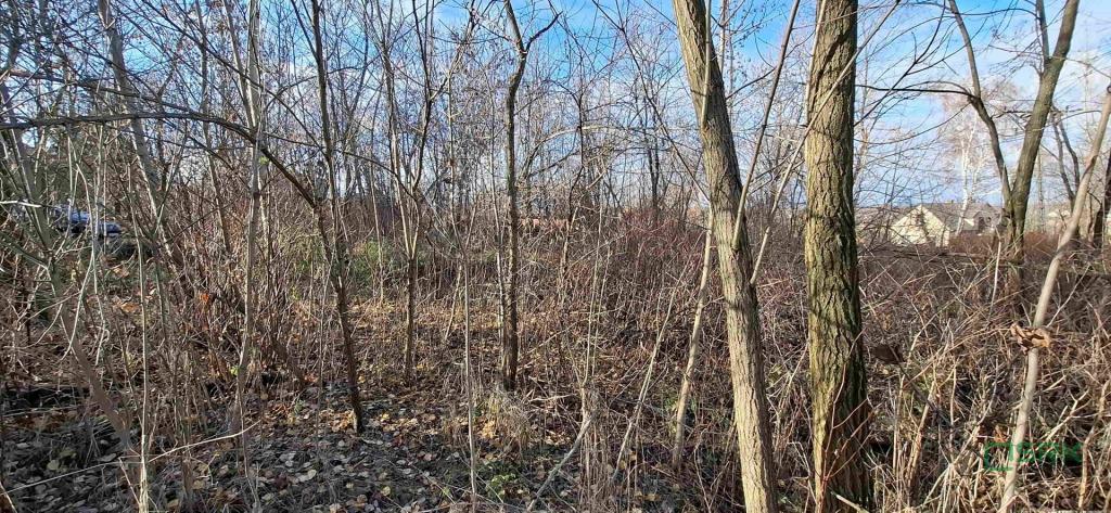 Działka inwestycyjna 488&nbsp;m², Sosnowiec, gen. Zygmunta Waltera Jankego - zdjęcie 4