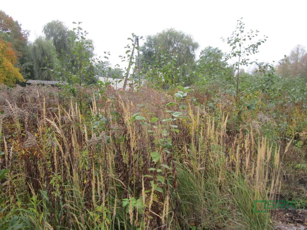 Działka inwestycyjna 1,25&nbsp;ha, Mszana, Wolności - zdjęcie 3