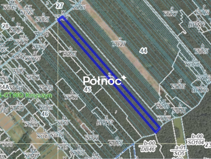 Działka rolna 4,29 ha, Poniklica - zdjęcie 7