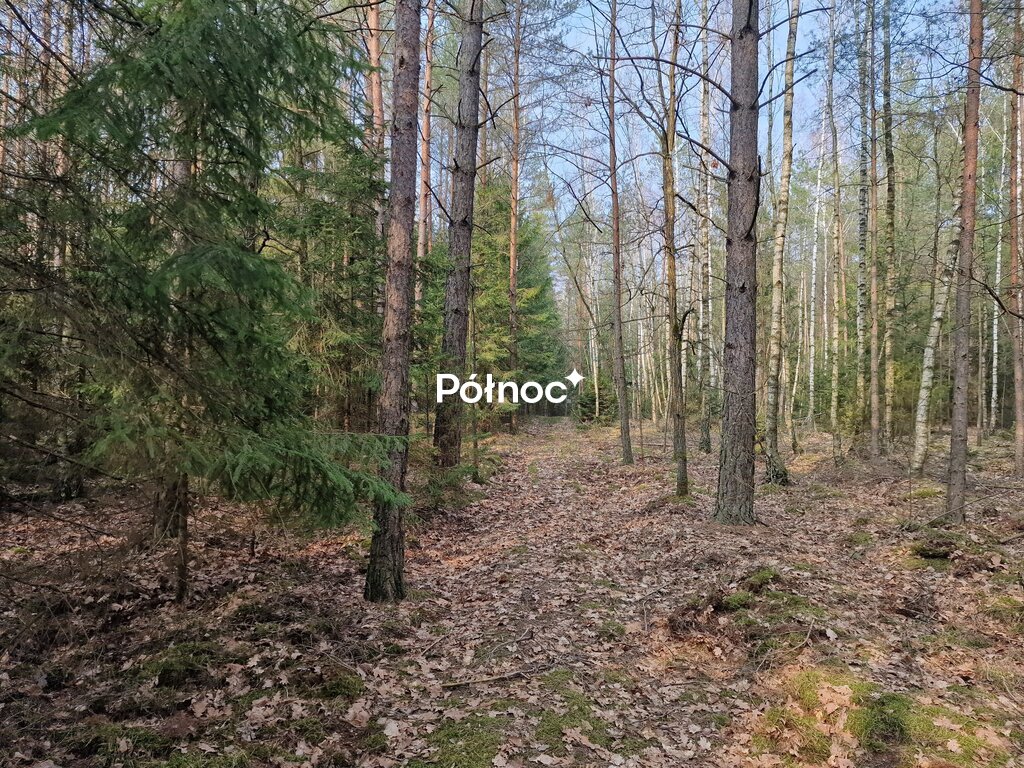 Działka rolna 4,29 ha, Poniklica - zdjęcie 2
