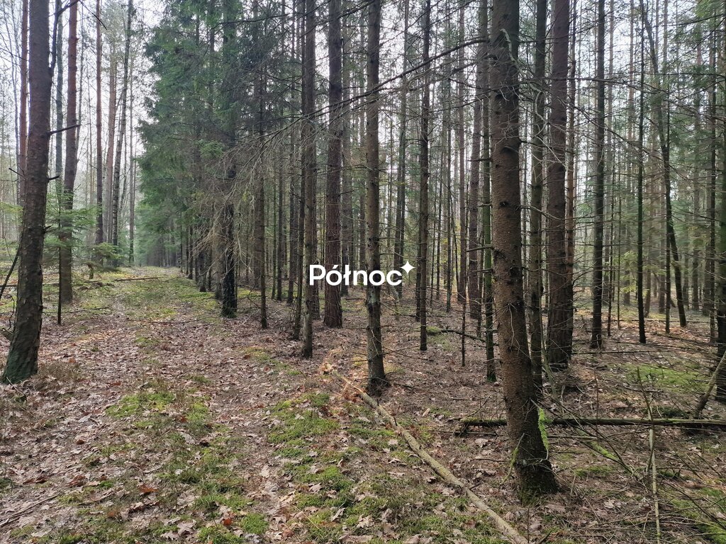 Działka rolna 4,29 ha, Poniklica - zdjęcie 1