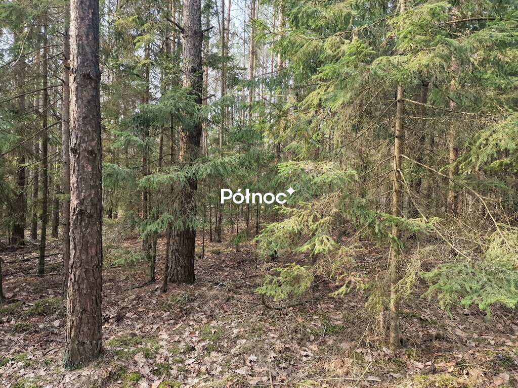 Działka rolna 4,29 ha, Poniklica - zdjęcie 3