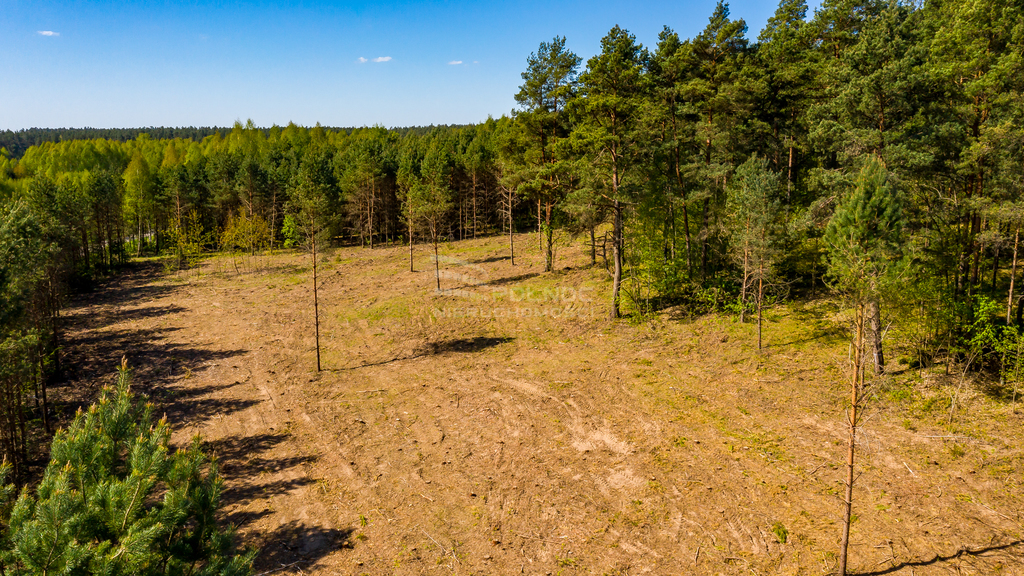 Działka budowlana 1478 m², Łaźnisko - zdjęcie 4