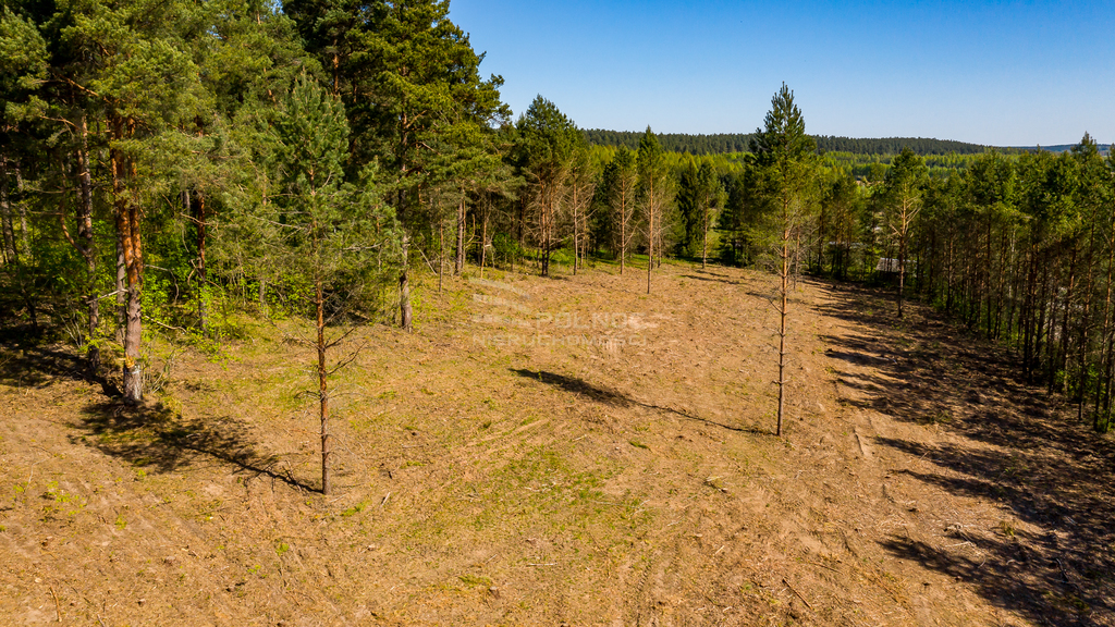 Działka budowlana 1478 m², Łaźnisko - zdjęcie 6