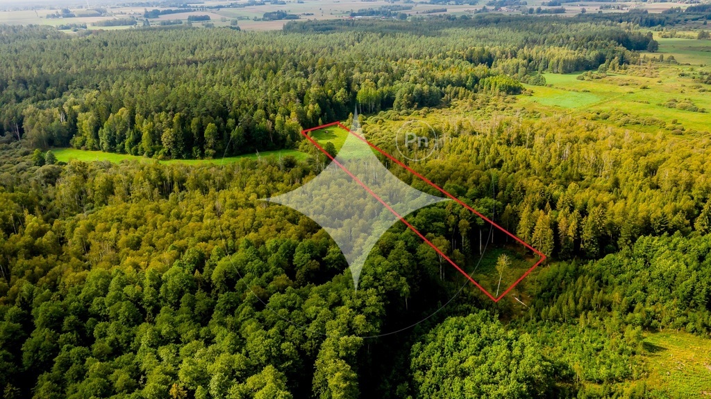 Działka rolna 1,54 ha, Dobrzyniówka - zdjęcie 1