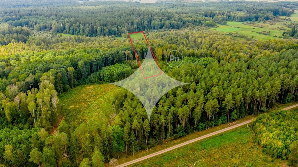 Działka rolna 1,54 ha, Dobrzyniówka - zdjęcie 2