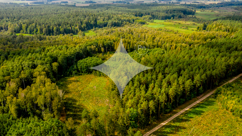 Działka rolna 1,54 ha, Dobrzyniówka - zdjęcie 5