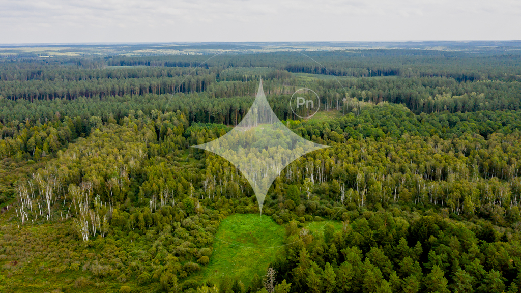 Działka rolna 1,54 ha, Dobrzyniówka - zdjęcie 7