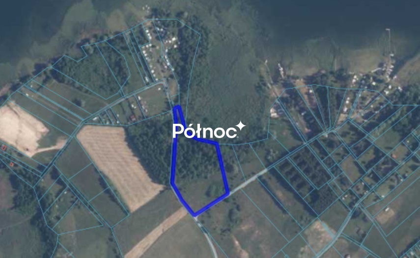 Działka rolna 3000&nbsp;m², Zdory - zdjęcie 6