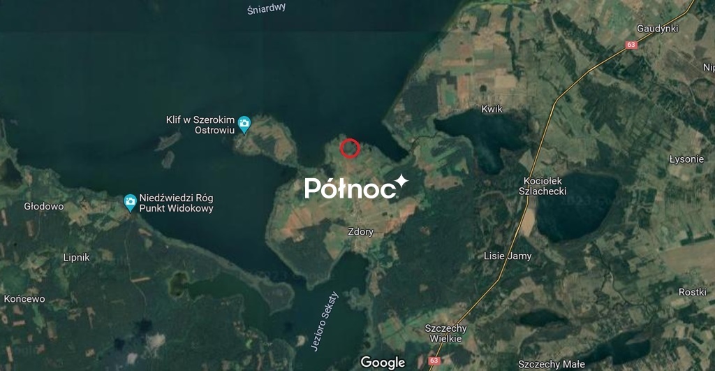 Działka rolna 3000&nbsp;m², Zdory - zdjęcie 8