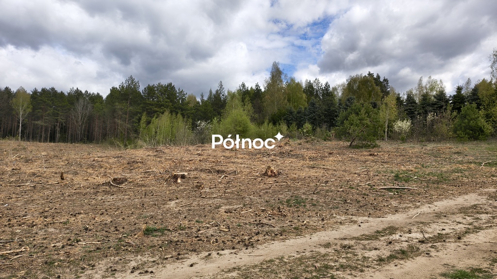 Działka rolna 1,13&nbsp;ha, Jurowce - zdjęcie 4