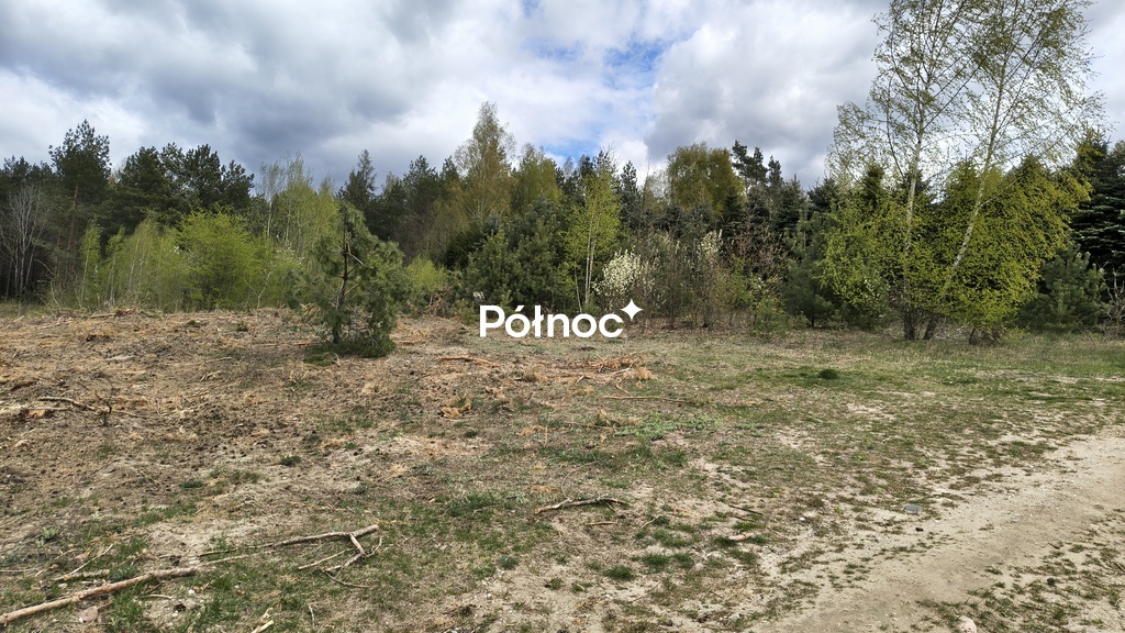 Działka rolna 1,13&nbsp;ha, Jurowce - zdjęcie 3