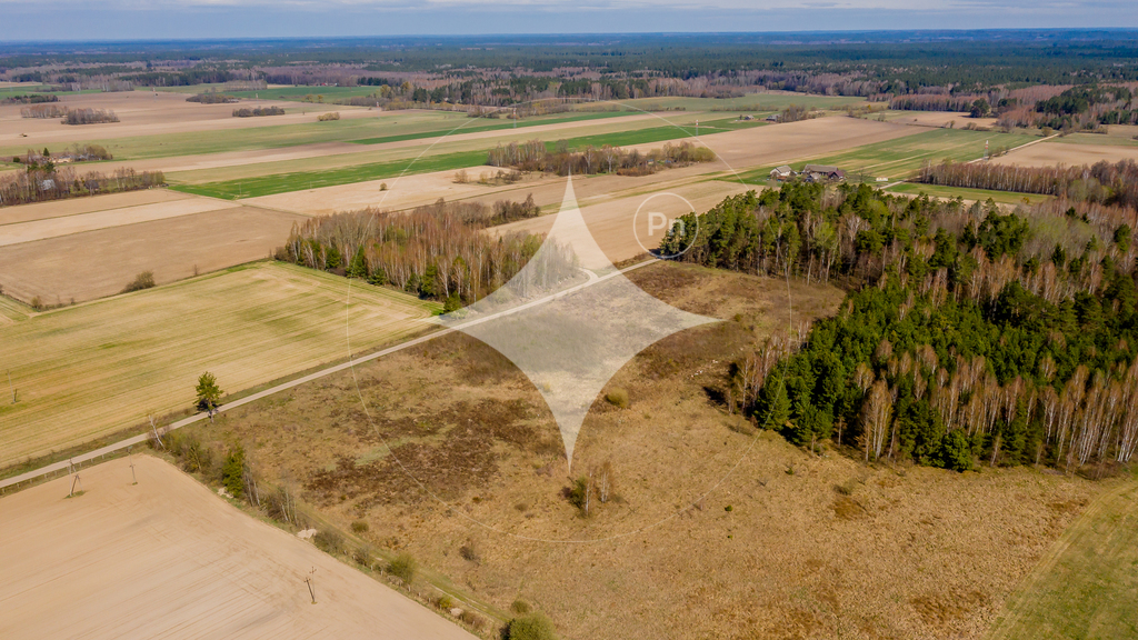Działka rolna 3000&nbsp;m², Folwarki Tylwickie - zdjęcie 13