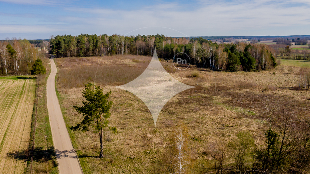 Działka rolna 3000&nbsp;m², Folwarki Tylwickie - zdjęcie 15