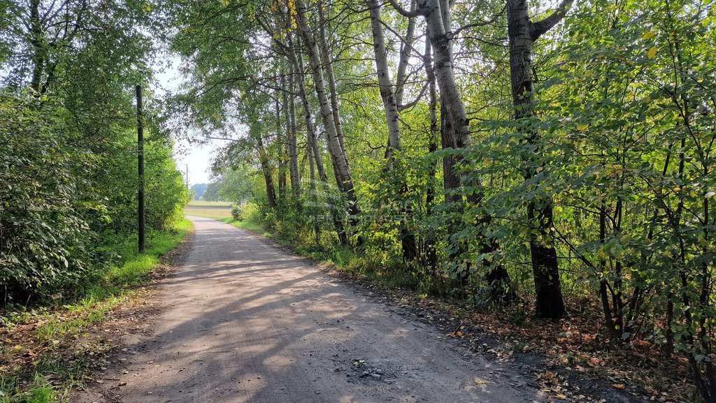 Działka budowlana 785&nbsp;m², Zaścianki, Ziemiańska - zdjęcie 12