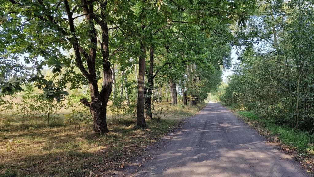 Działka budowlana 785&nbsp;m², Zaścianki, Ziemiańska - zdjęcie 14