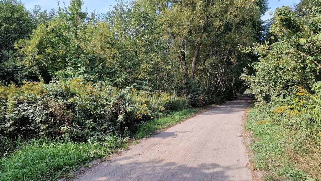 Działka budowlana 785&nbsp;m², Zaścianki, Ziemiańska - zdjęcie 13