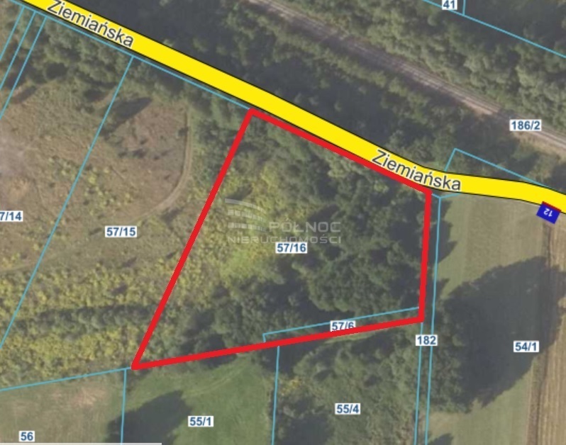 Działka budowlana 785&nbsp;m², Zaścianki, Ziemiańska - zdjęcie 4