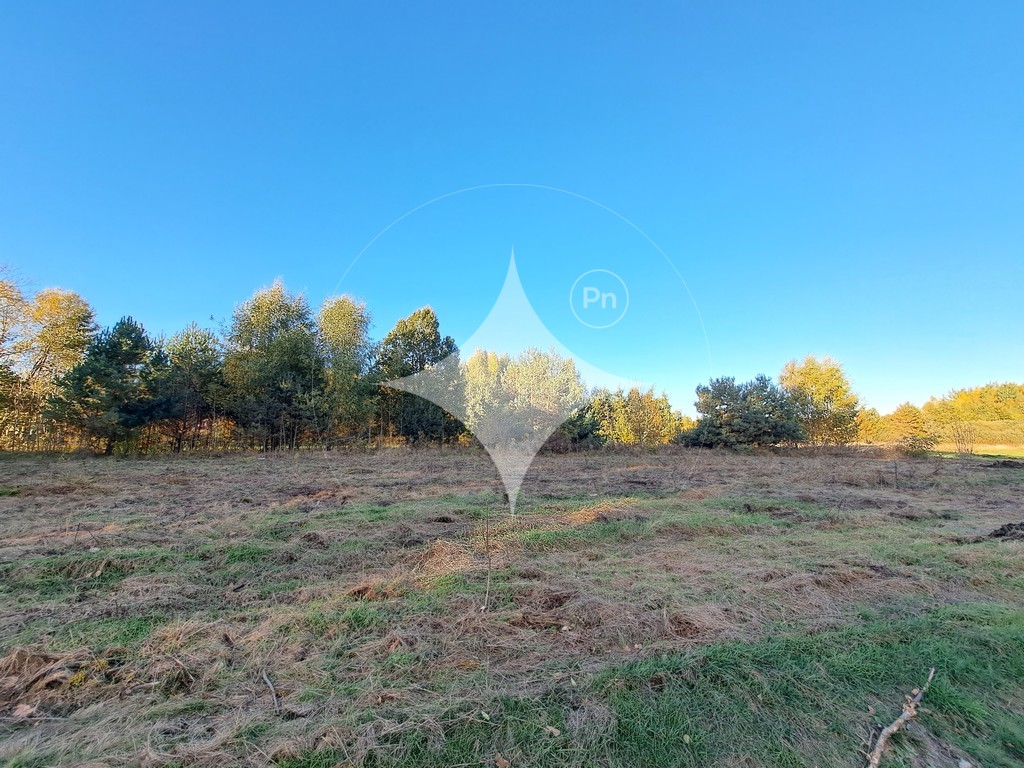 Działka budowlana 2540 m², Łubniki - zdjęcie 7