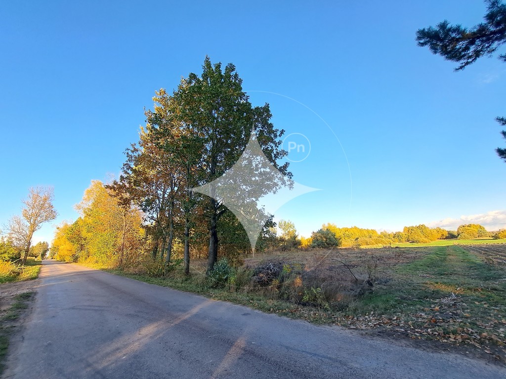 Działka budowlana 2540 m², Łubniki - zdjęcie 6