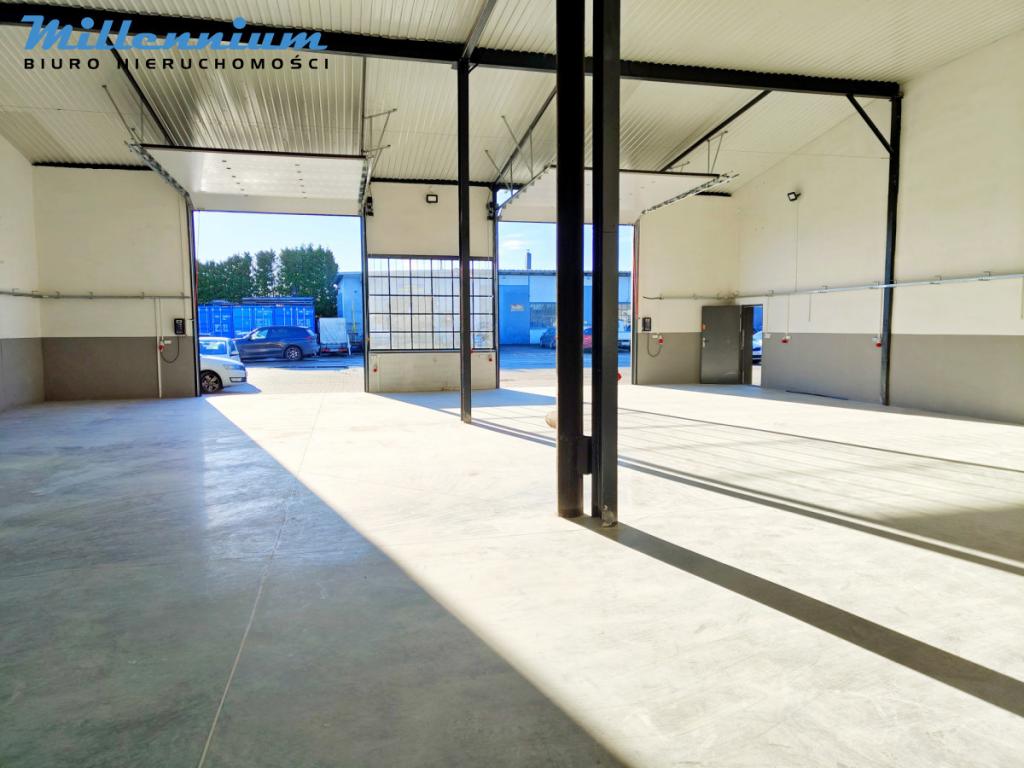 Hala magazynowo-produkcyjna z biurem i placem - zdjęcie 3
