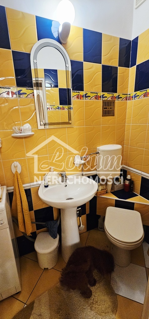 Dom 270 m², Wapnica, Turkusowa - zdjęcie 13