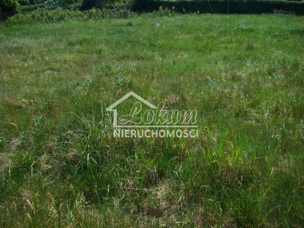 Działka budowlana 1200 m², Nowe Warpno - zdjęcie 13